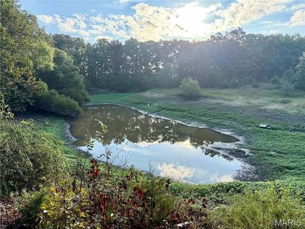 Property for sale in Montgomery County, Missouri