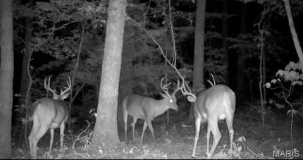 Property for sale in Gasconade County, Missouri