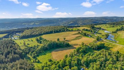 Undeveloped Land for sale in Schoharie County, New York