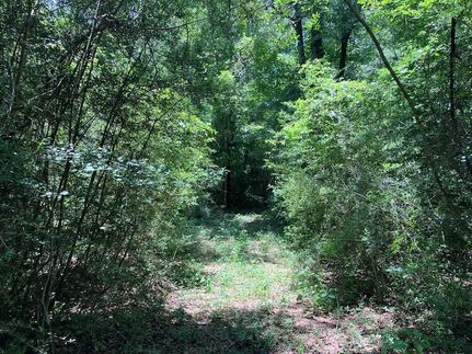 Property for sale in Walthall County, Mississippi