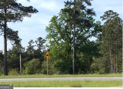Undeveloped Land for sale in Lee County, Georgia