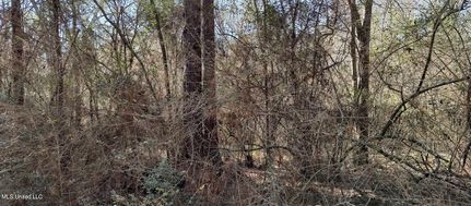 Property for sale in Pearl River County, Mississippi