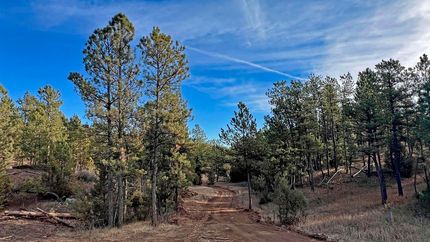 Property for sale in Custer County, South Dakota