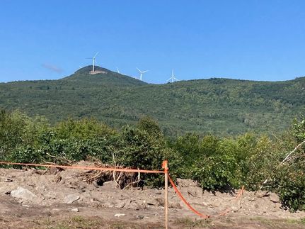 Property for sale in Coos County, New Hampshire