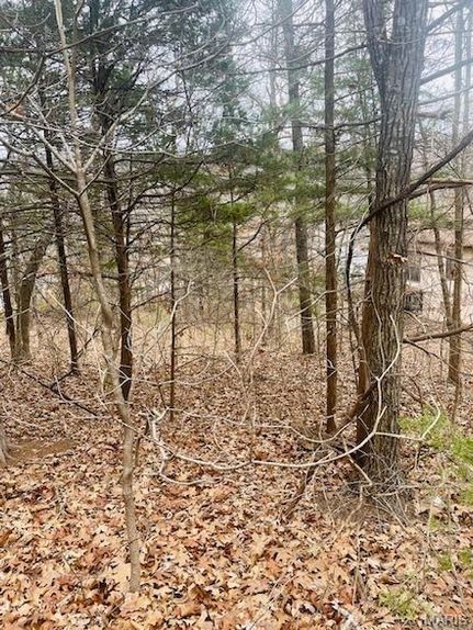Undeveloped Land for sale in Gasconade County, Missouri