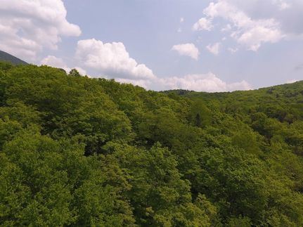 Property for sale in Caledonia County, Vermont