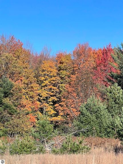 Undeveloped Land for sale in Kalkaska County, Michigan