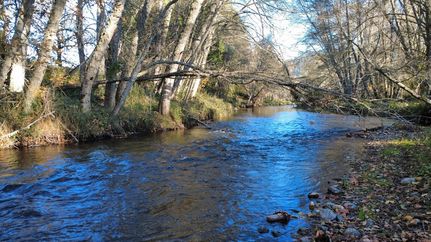 Undeveloped Land for sale in Douglas County, Oregon
