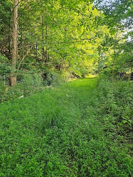 Property for sale in Monongalia County, West Virginia