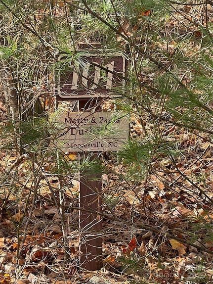 Property for sale in Henderson County, North Carolina