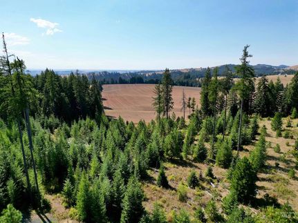 Property for sale in Idaho County, Idaho