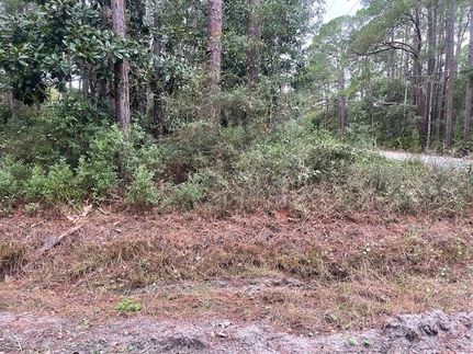 Property for sale in Wakulla County, Florida