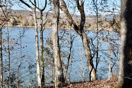 Property for sale in Meigs County, Tennessee