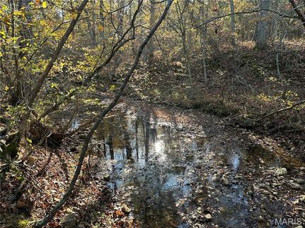 Property for sale in Iron County, Missouri