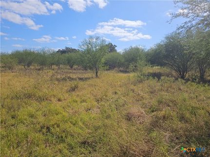 Property for sale in Goliad County, Texas