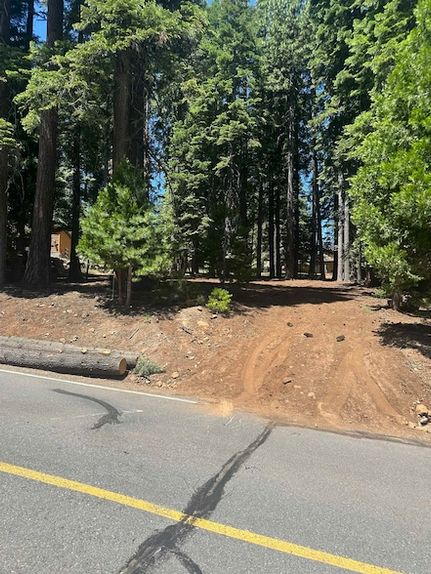 Undeveloped Land for sale in Plumas County, California