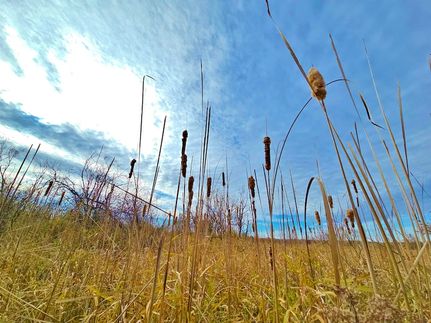 Property for sale in Wood County, Wisconsin