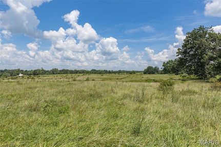 Undeveloped Land for sale in Saint Francois County, Missouri