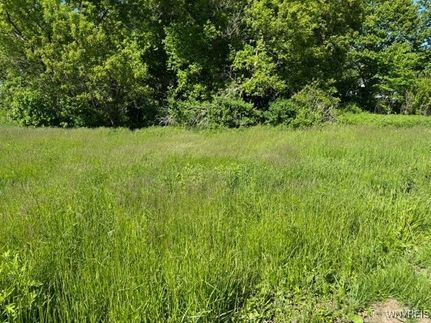 Undeveloped Land for sale in Erie County, New York