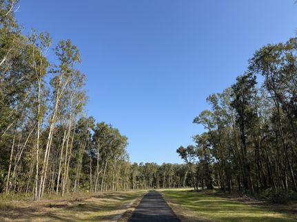 Undeveloped Land for sale in Marion County, Florida