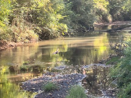 Property for sale in Monroe County, Georgia