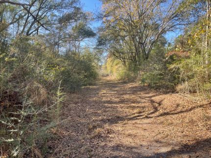 Recreational Property for sale in Holmes County, Florida