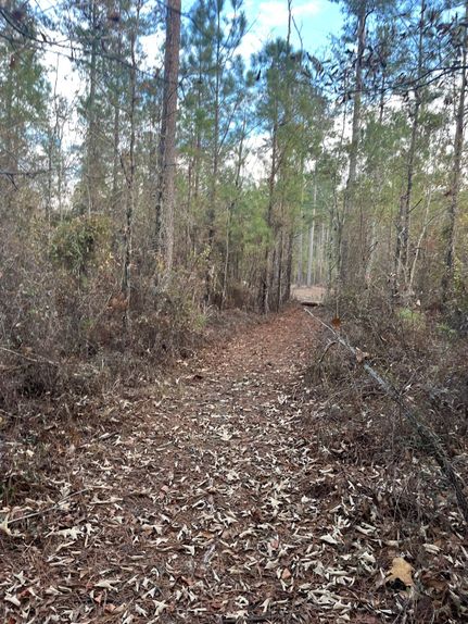 Undeveloped Land for sale in Aiken County, South Carolina