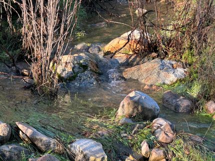 Recreational Property for sale in Mariposa County, California