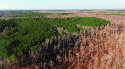 Property for sale in Houston County, Tennessee