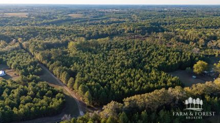 Property for sale in Geneva County, Alabama