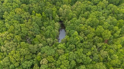 Property for sale in Hickman County, Tennessee