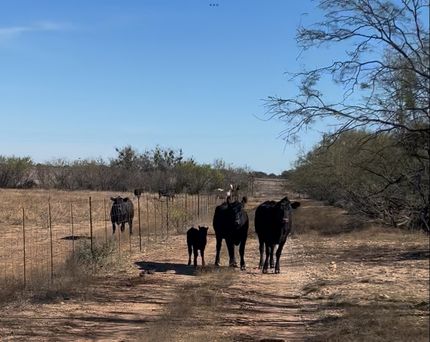 Property for sale in McCulloch County, Texas