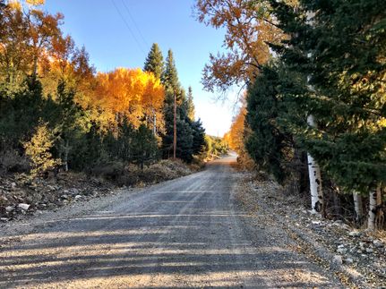 Property for sale in Alamosa County, Colorado