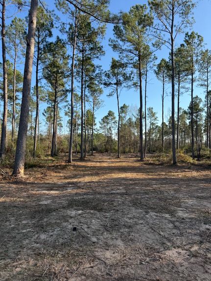 Property for sale in Panola County, Texas