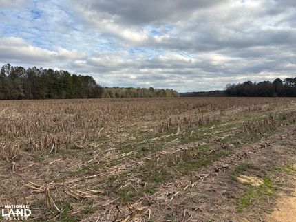 Farm Property for sale in Dallas County, Alabama