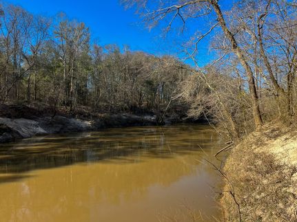 Riverfront Property for sale in Clarke County, Mississippi