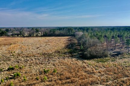 Hunting Land for sale in Bladen County, North Carolina