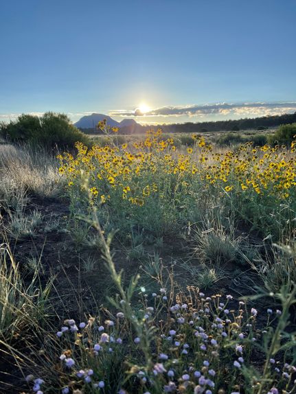 Ranch Property for sale in Catron County, New Mexico