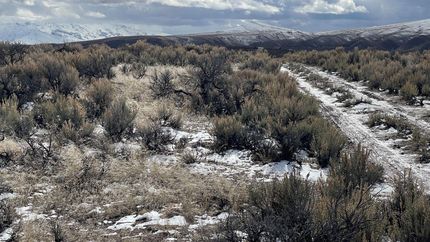 Recreational Property for sale in Elko County, Nevada
