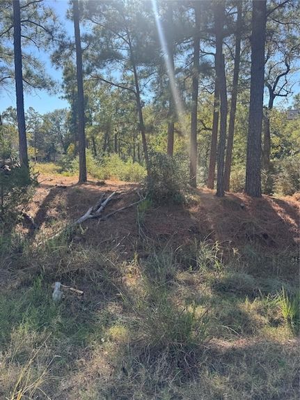 Property for sale in Bastrop County, Texas