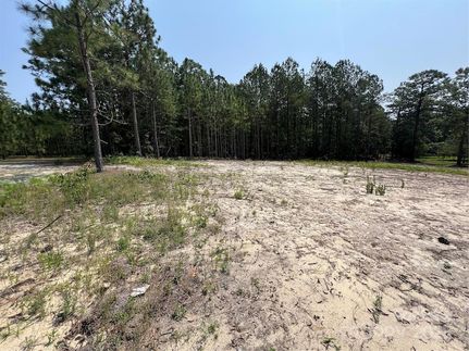 Property for sale in Darlington County, South Carolina
