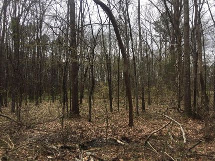 Property for sale in Oktibbeha County, Mississippi