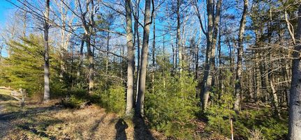 Property for sale in Sullivan County, New York