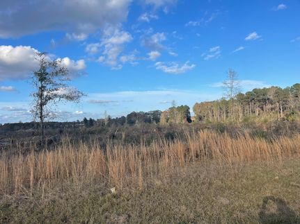 Property for sale in Jefferson Davis County, Mississippi