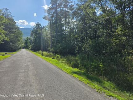 Undeveloped Land for sale in Greene County, New York
