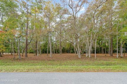 Undeveloped Land for sale in Brunswick County, North Carolina