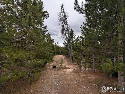 Property for sale in Larimer County, Colorado