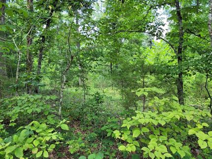 Property for sale in Sharp County, Arkansas