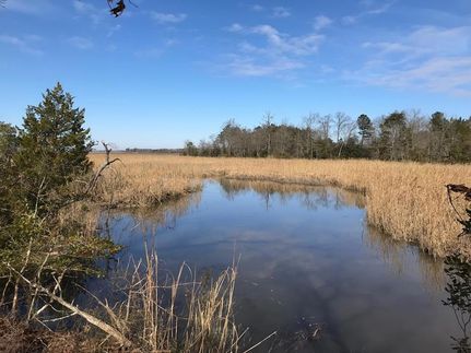 Lakefront Property for sale in King and Queen County, Virginia