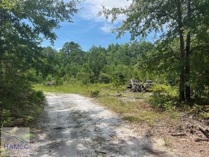 Property for sale in Long County, Georgia
